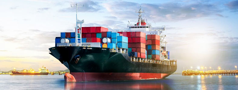 Ocean Freight Forwarders in Nhava Sheva